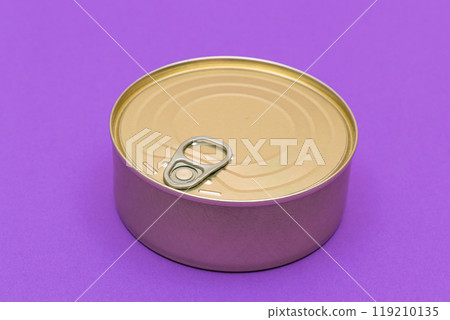Unopened Tin Can with Blank Edge on Violet Background 119210135