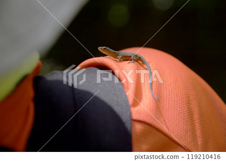 肩騎卡納赫比 119210416