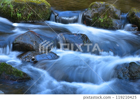 Shrine stream Shrine stream 119210425
