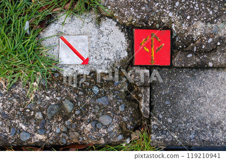 Land boundary signs embedded at the edge of the site 119210941