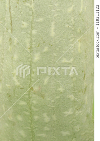 Sponge gourd on farm for harvest Sponge gourd on farm for harvest 119211122