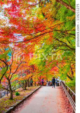 Korankei (Autumn) 119211275
