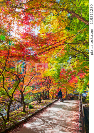 香蘭溪(秋季) 香蘭溪(秋季) 119211280