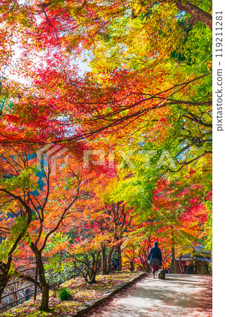 Korankei (Autumn) 119211281