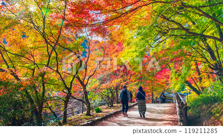 Korankei (Autumn) Korankei (Autumn) 119211285