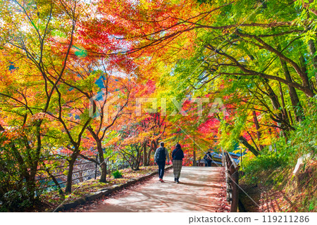 香蘭溪（秋季） 119211286