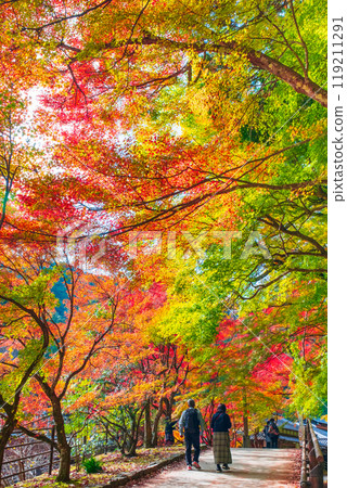 香蘭溪（秋季） 119211291