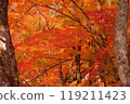 Maple leaves at Tsuwano Castle ruins 2 119211423