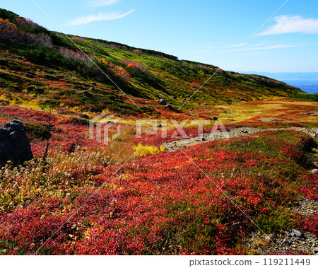 北海道Asahidake秋葉 北海道Asahidake秋葉 119211449
