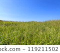 Summer background image of clear blue sky and hills with no clouds, copy space available 119211502