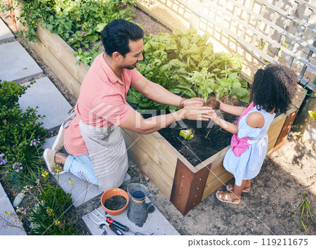 Gardening, dad helping daughter with plants and sustainability, teaching and learning with growth in nature. Farming, food and father with daughter in vegetable garden with love, support and kids fun 119211675