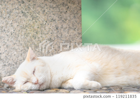 Sleeping soundly... haha Sleeping soundly... haha 119211835