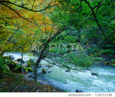 函館銀河瀑布 119212186