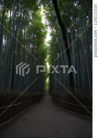 【京都嵯峨野】嵐山竹林小徑 119213310