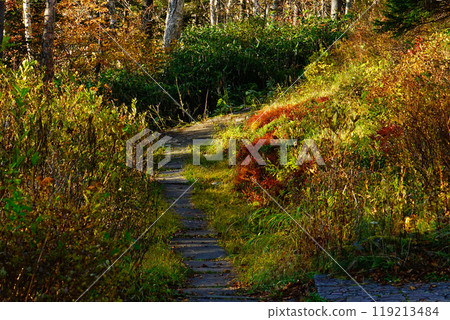 Hokkaido Kurodake autumn leaves 119213484