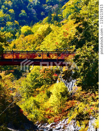 壯觀的二見吊橋 壯觀的二見吊橋 119213915