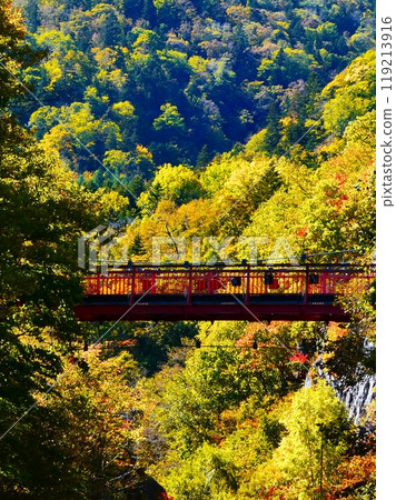 壯觀的二見吊橋 119213916