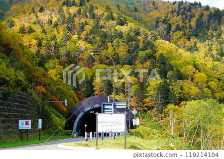 Hokkaido Three Kingdoms Autumn leaves 119214104