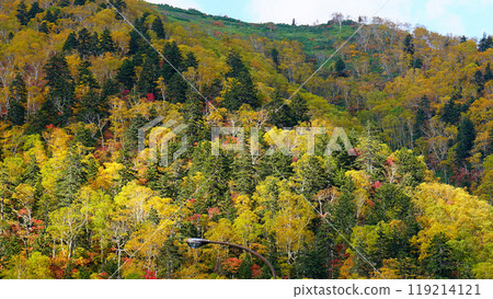 北海道三國秋葉 119214121