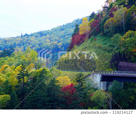 Hokkaido Three Kingdoms Autumn leaves 119214127