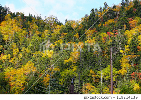 Hokkaido Three Kingdoms Autumn leaves Hokkaido Three Kingdoms Autumn leaves 119214139