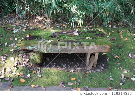 A dilapidated bench covered in moss A dilapidated bench covered in moss 119214553