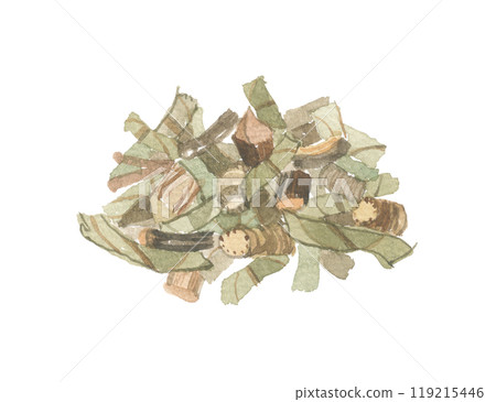 Watercolor painting of carved oak 119215446