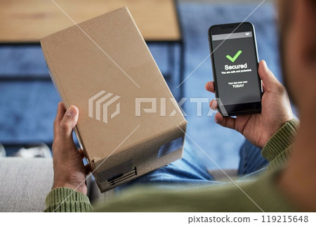 Box label, phone screen and person hands reading security verification check, safety scan or track online shopping order. Tick, mail shipping and home customer with cellphone, delivery app or package 119215648