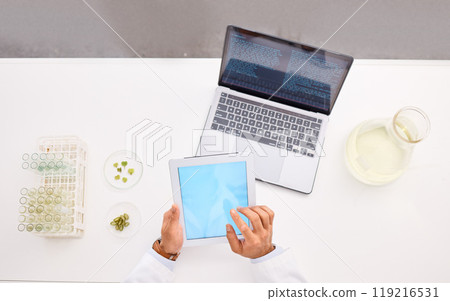 Scientist hands, tablet screen and space, person in lab with leaves in petri dish and laptop, research info for science. Top view, environment study and test tube with digital mockup and agriculture Scientist hands, tablet screen and space, person in lab with leaves in petri dish and laptop, research info for science. Top view, environment study and test tube with digital mockup and agriculture 119216531