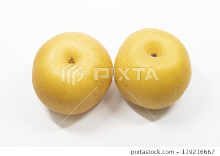 新幹線梨 119216667