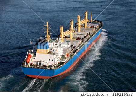 一艘大型貨船通過來島海峽大橋，駛向西灘。 119216858