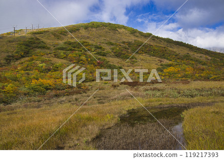 Happo-one Nature Study Trail: Beautiful autumn foliage at Kurobishi-daira and Kamoike Marshland, Hakuba Village, Nagano Prefecture 119217393