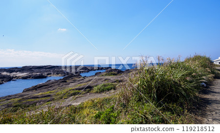 Autumn in Jogashima, the southernmost island of Kanagawa Prefecture 119218512