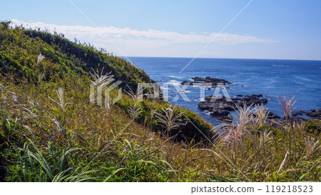 神奈川縣最南端城島的秋天 119218523