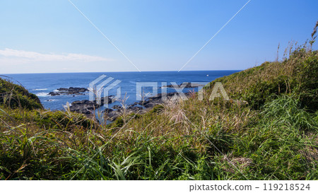 Autumn in Jogashima, the southernmost island of Kanagawa Prefecture 119218524