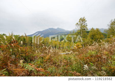 Norikura Kogen in autumn 119218562