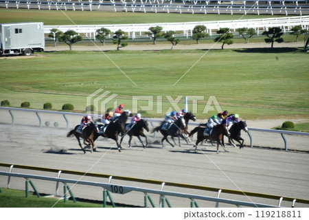 新潟賽馬場 新潟賽馬場 119218811