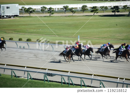 新潟賽馬場 新潟賽馬場 119218812