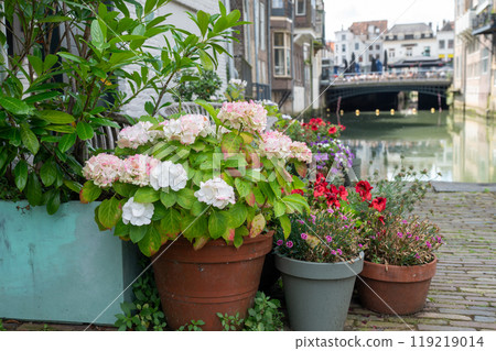 Potted flowers and wooden bench by the canal in European town. 119219014