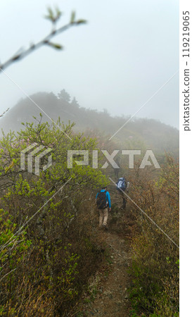 Hiking trail leading to Mount Higashi-Akaishi 119219065