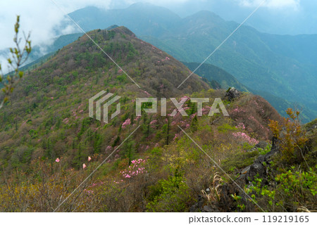 Mount Higashi-Akaishi and Akebono Azalea Mount Higashi-Akaishi and Akebono Azalea 119219165