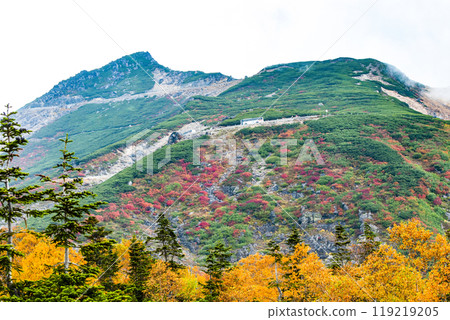 Autumn leaves of the Norikura echo line Autumn leaves of the Norikura echo line 119219205