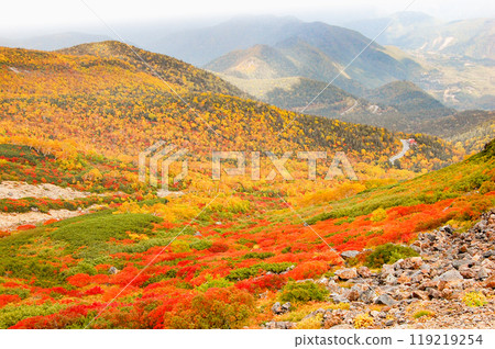 乘鞍迴聲線沿線的秋葉 119219254