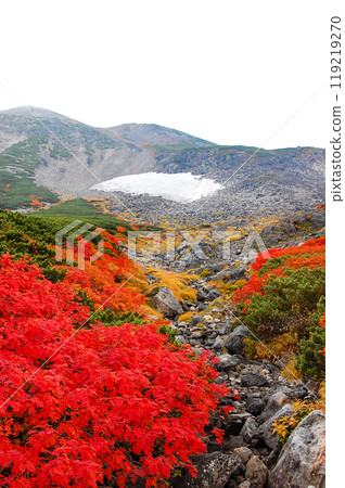 Autumn leaves along the Norikura Echo Line 119219270