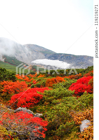 Autumn leaves along the Norikura Echo Line 119219271