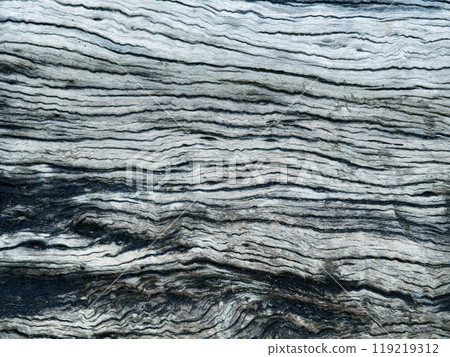 A close up of a piece of wood, highlighting the intricate texture of the wood 119219312