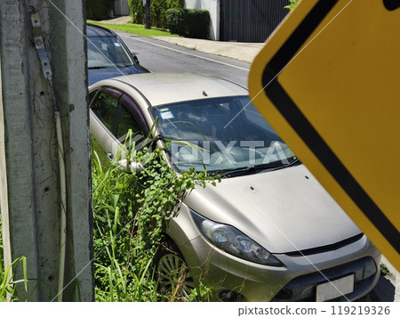 A silver car that has a broken tire and is covered with leaves 119219326