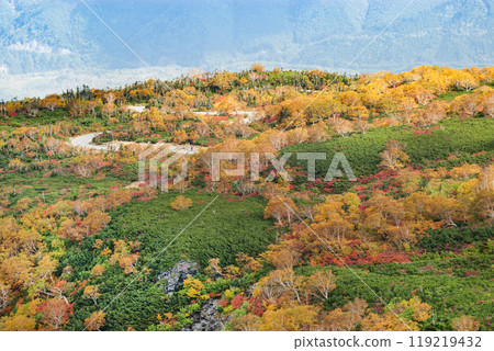Autumn leaves along the Norikura Echo Line 119219432