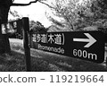 單色方向 119219664