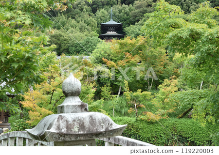 從金雲橋附近的北條池看到的多寶塔，永觀堂禪林寺 119220003